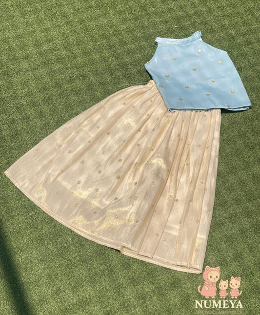 Girl's Festive Tissue Skirt and Blue Top