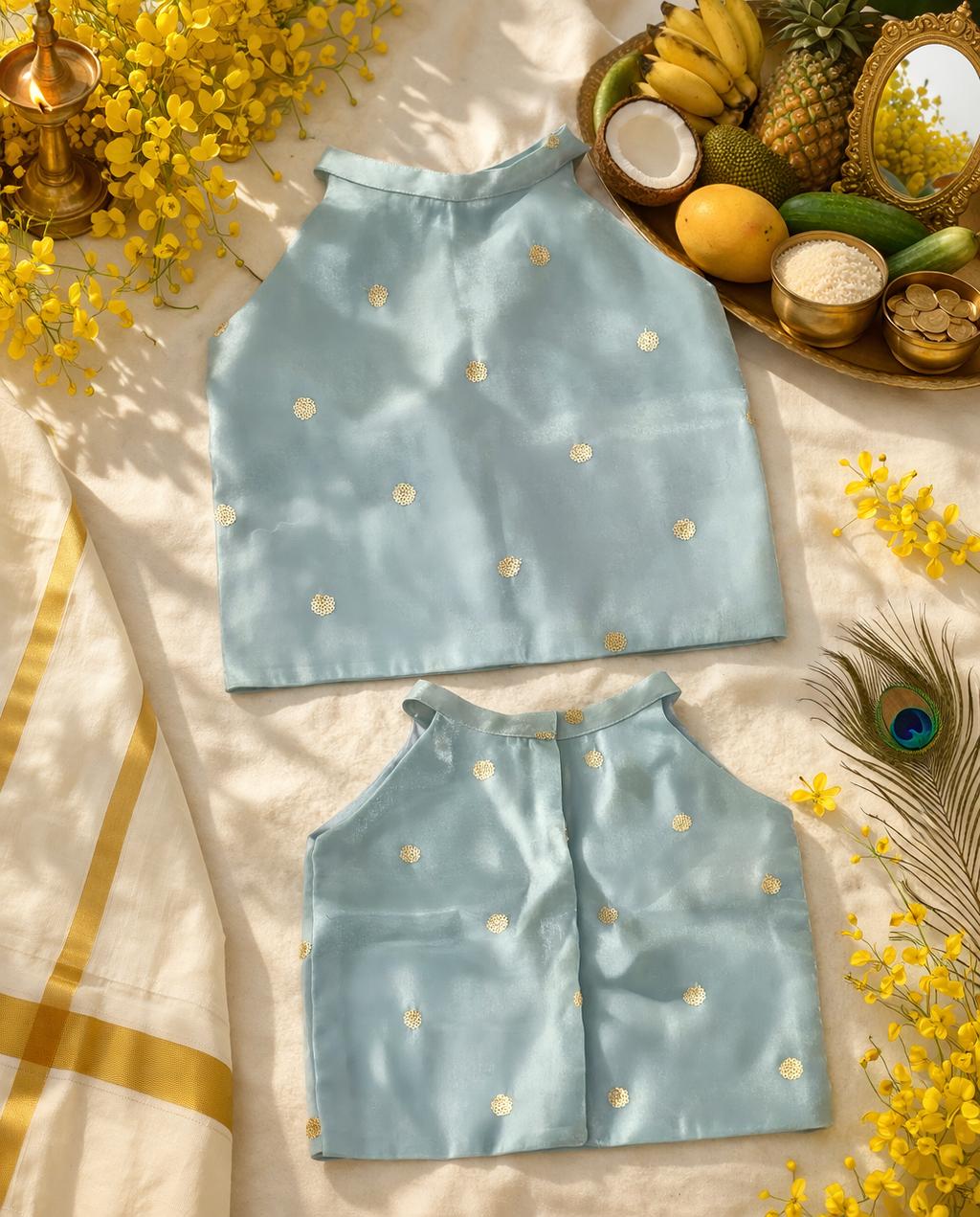 Girl's Festive Tissue Skirt and Blue Top